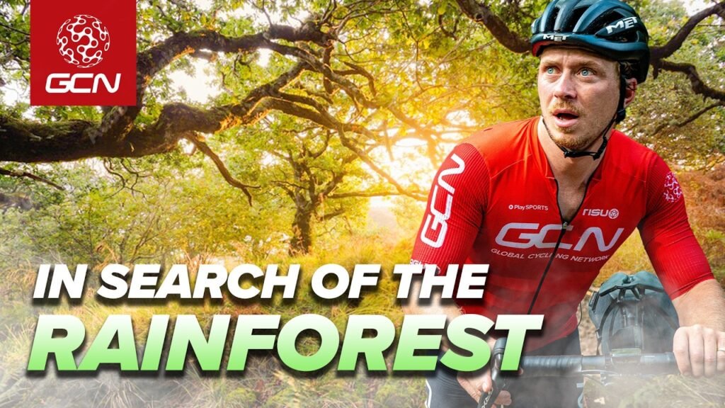 Can We Find Englands Last Rainforest Bikepacking Adventure