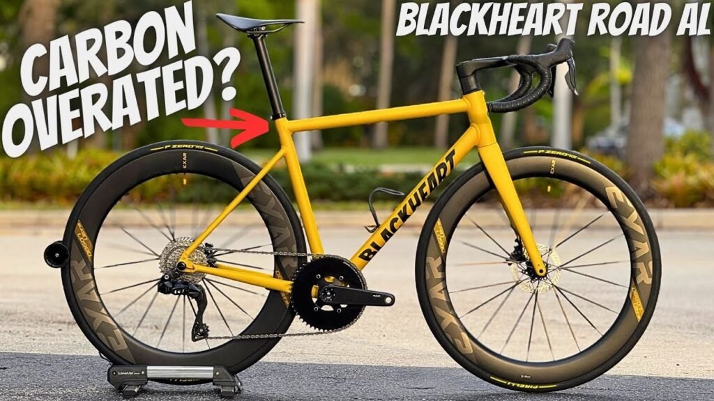 Are CARBON FIBER Bikes OVERATED for The Bike Industry in
