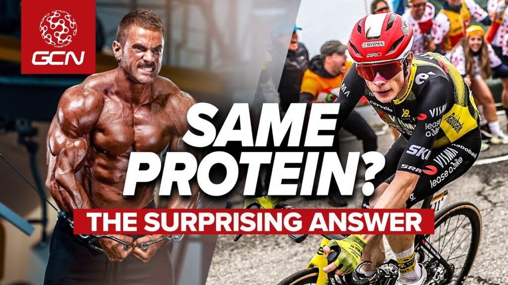 Have We Undervalued Protein