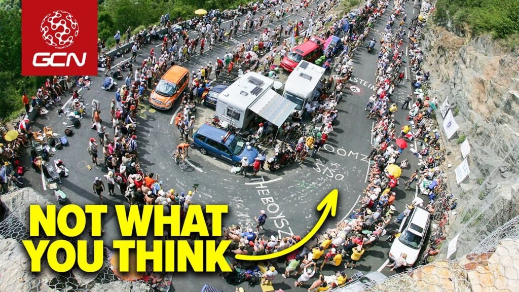 Weird Things You Didnt know About The TDF