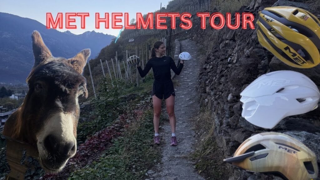 MET HELMET TOUR THEY HAVE THEIR OWN DONKEY