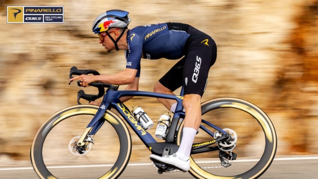 We are Pinarello Q365 Pro Cycling Team Q365