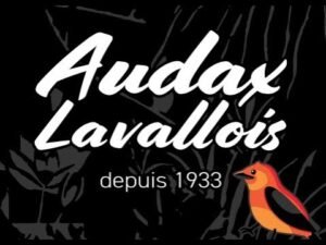 BRM 300 La route du desert par les Audax