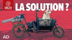 Un avenir sans voiture est ce possible