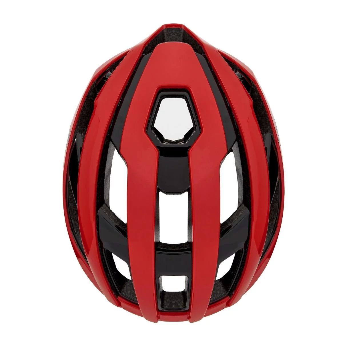 Casco Domo Spiuk - Imagen 17
