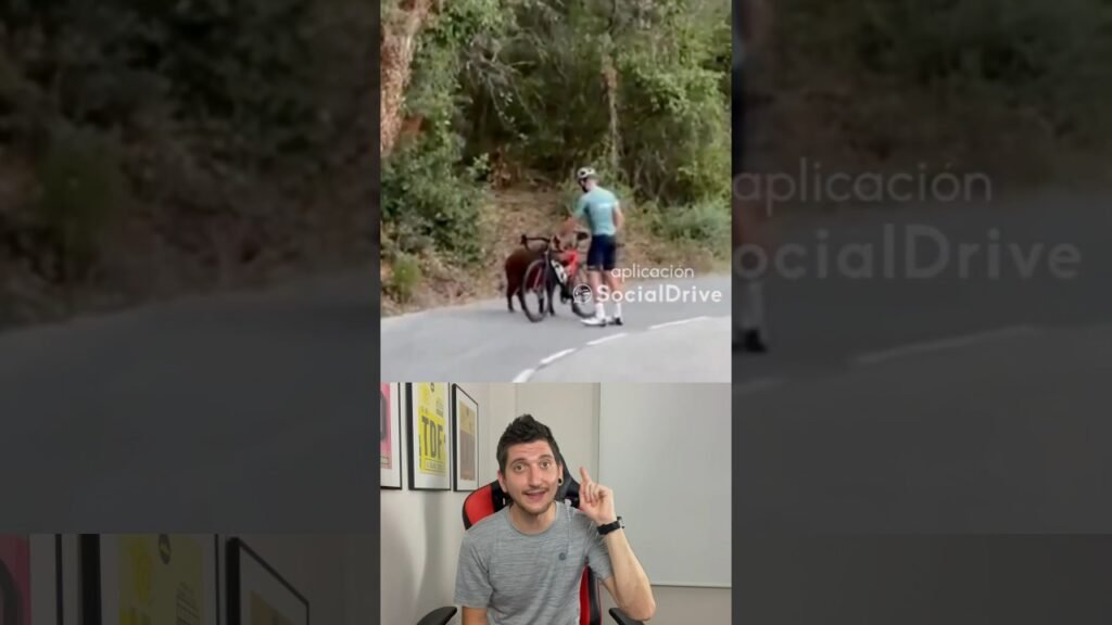 ATAQUE JABALI A UN CICLISTA ThePersonTube