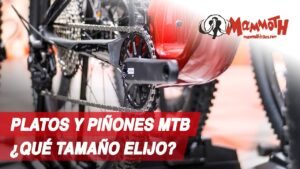 Platos y pinones para MTB ¿Que tamano elegir Mammoth