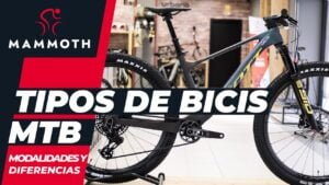 Tipos de bicicletas MTB modalidades y diferencias Mammoth Bikes