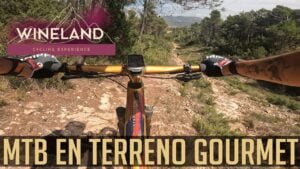 WINELAND BTT en terreno GOURMET BiciLAB