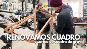 Gravel Bike Yoeleo G21 Frame Swap