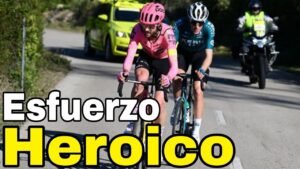 Resumen Trofeo Calvia Challenge Mallorca 2024