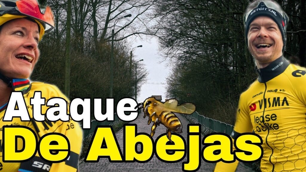 Resumen Omloop Het Nieuwsblad 2024 Edicion Masculina y Femenina