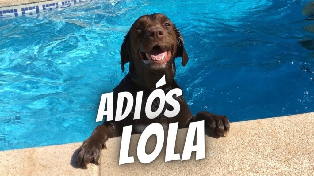 SE NOS FUE LA REINA DEL CANAL