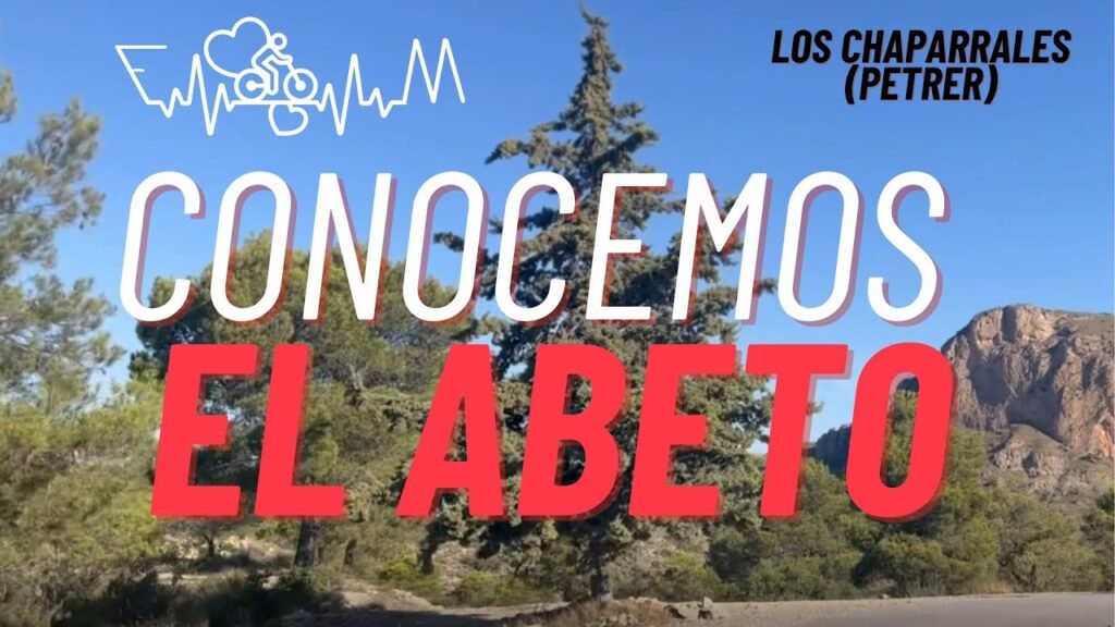 DURÍSIMA SUBIDA AL ABETO DESDE PETRER. ¿ES EL PUERTO MÁS BONITO DE ALICANTE? | Fran Morcillo 8 DURISIMA SUBIDA AL ABETO DESDE PETRER ¿ES EL PUERTO MAS