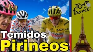 Resumen Etapa 15 Tour De Francia 2024 Etapon de