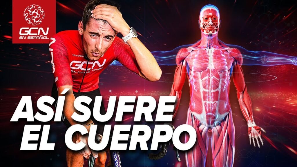 Esto le pasa al cuerpo humano cuando compite en una