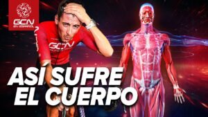 Esto le pasa al cuerpo humano cuando compite en una