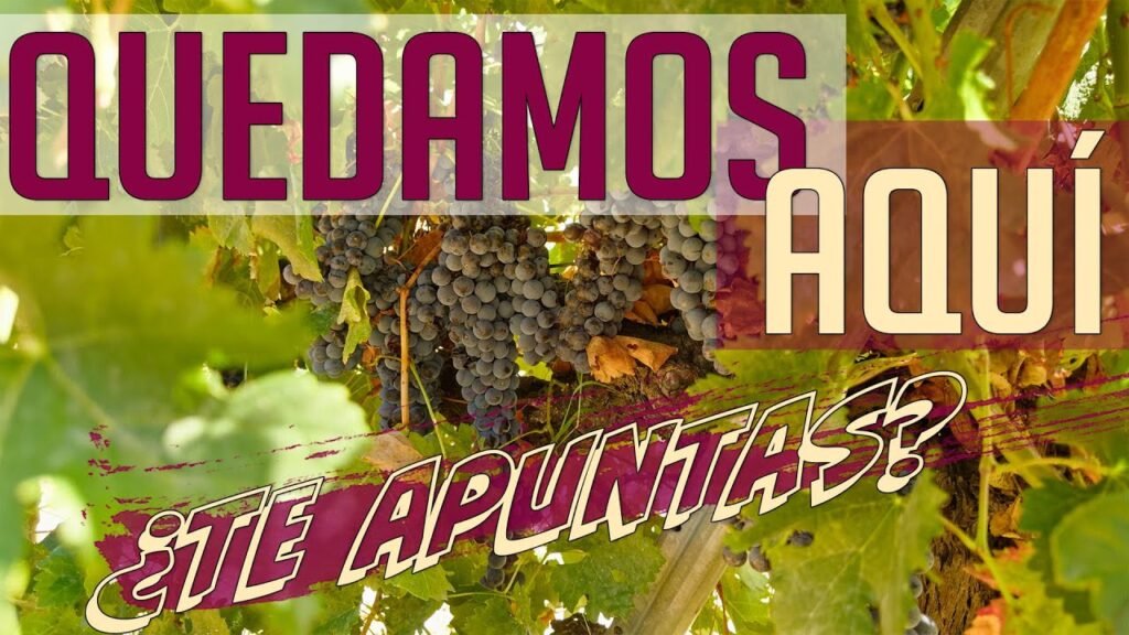 FIESTA fin de curso BCLB Quedamos aqui ¿Te apuntas