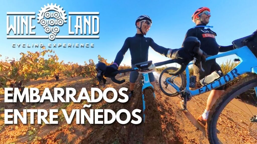 2024 WINELAND GRAVEL EMBARRADOS ENTRE VINEDOS