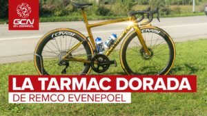 La Specialized S Works SL8 del campeon olimpico Remco Evenepoel