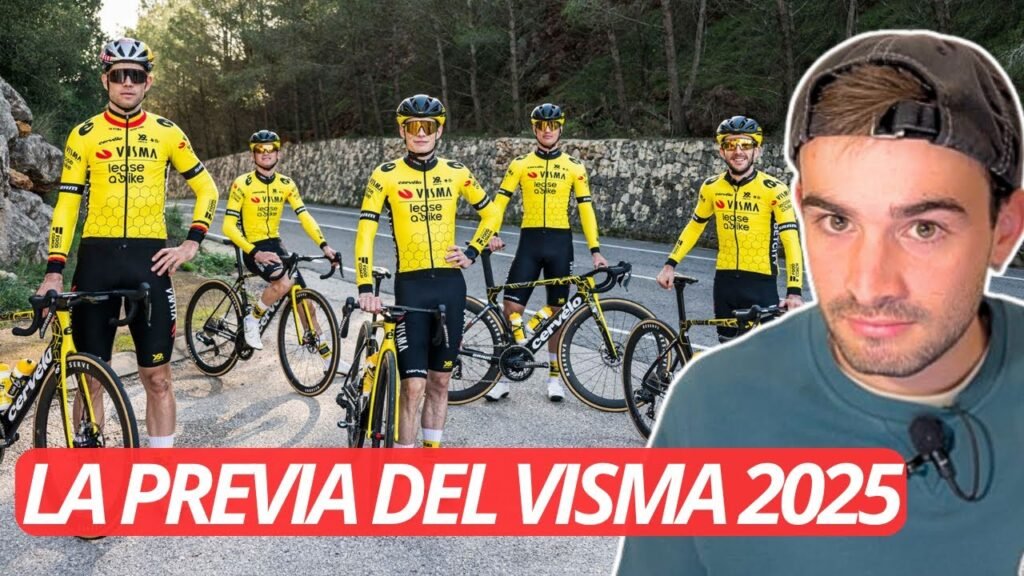 ANALIZANDO LA PLANTILLA de VISMA para 2025 7 ANALIZANDO LA PLANTILLA de VISMA para 2025