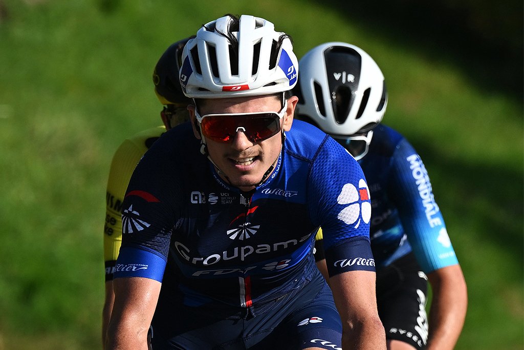 Se descuida en varias competiciones debido a un animal extraviado 8 1740144428 Se descuida en varias competiciones debido a un animal