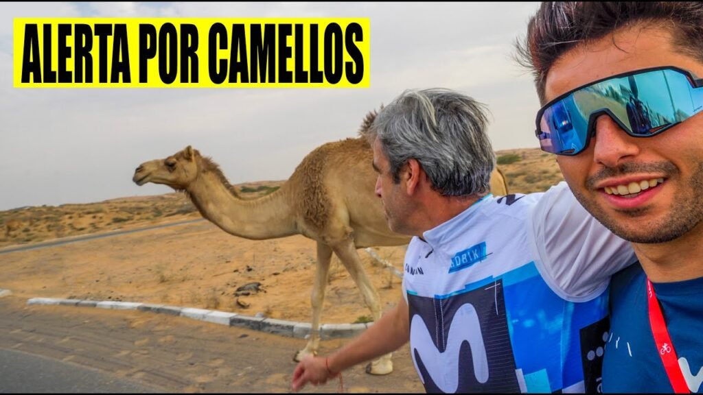 SORPRENDIDOS por CAMELLOS en el UAE TOUR 7 SORPRENDIDOS por CAMELLOS en el UAE TOUR