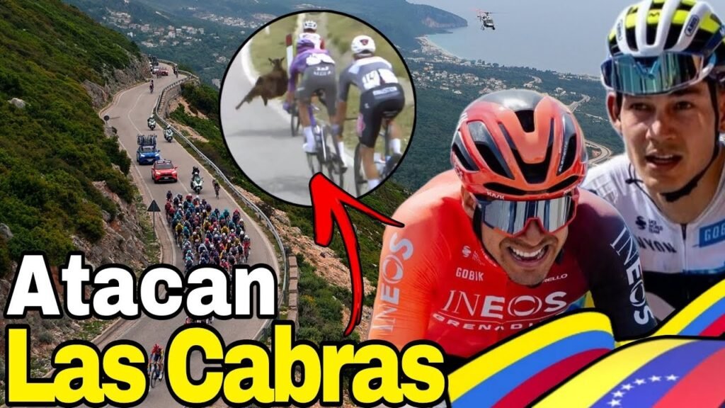 Resumen Etapa 3 ➣ Giro de Italia 2025 | Colombia y Venezuela como Cabras Veloces 10 Resumen Etapa 3 ➣ Giro de Italia 2025 Colombia