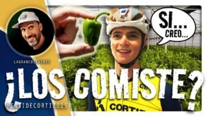 Los primeros PIMIENTOS de PADRON y Previa de la VOLTA