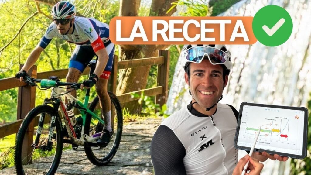 Como sacar tu mejor version en solo 5 meses