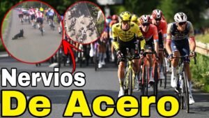 Resumen Etapa 1 ➣ Tour De Polonia 2025 Mucha