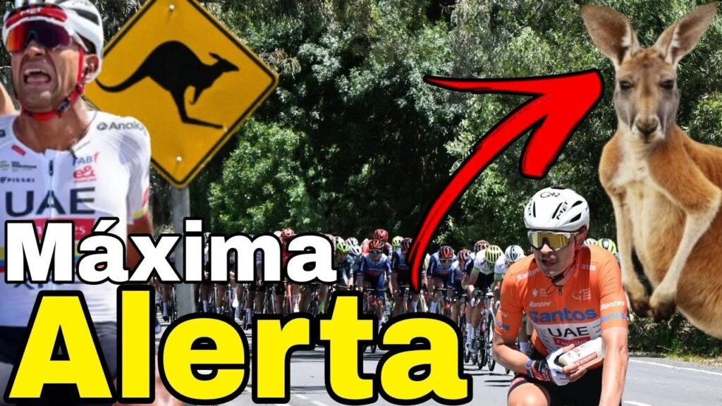 Resumen Etapa 5 ➣ Santos Tour Down Under 2026