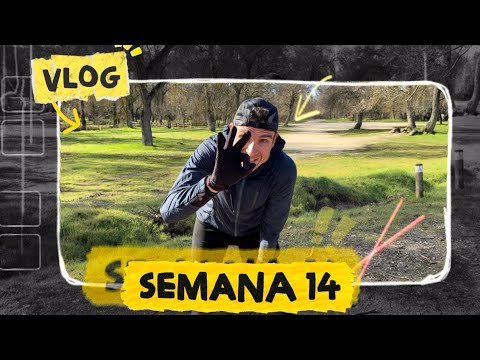 Semana 14 La semana MAS DURA con el ENTRENAMIENTO MAS