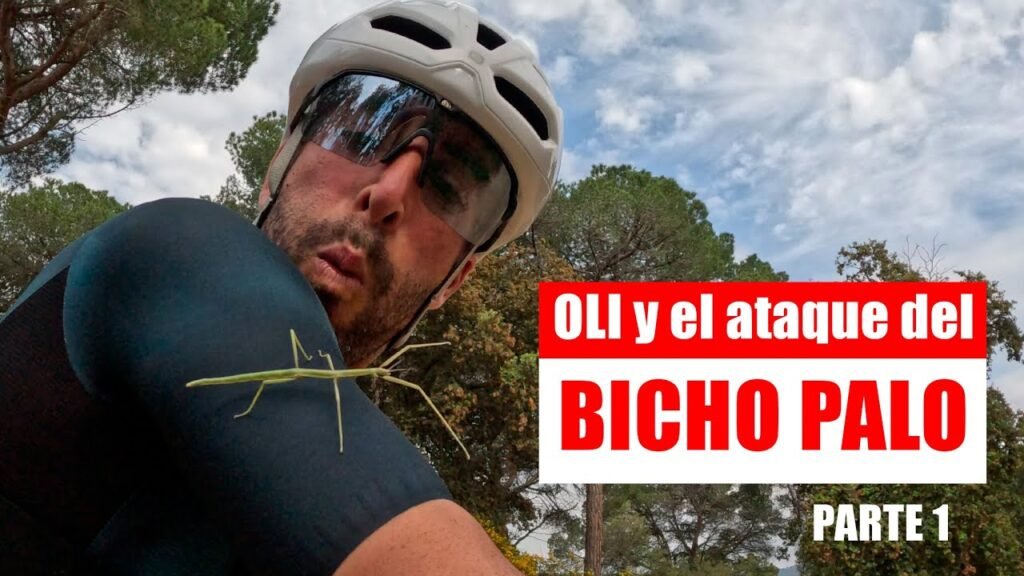Oli vs Bicho Palo PARTE 1 Ismael Ventura